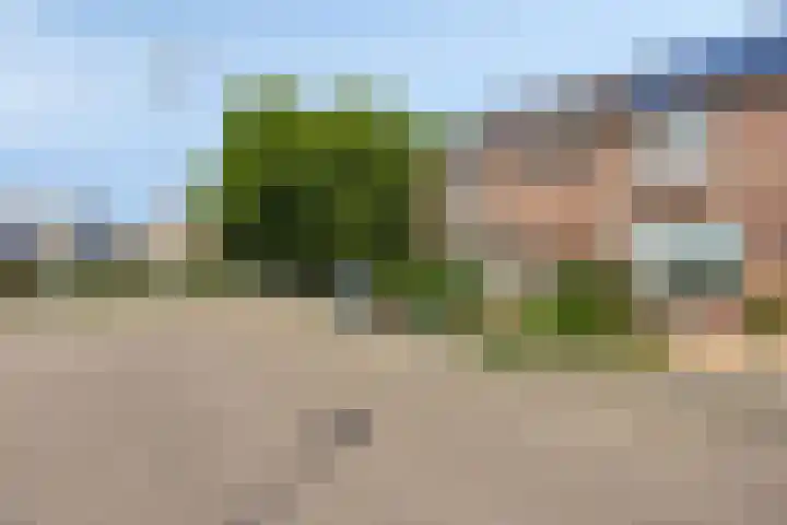 Asterlaan 1 Lutjebroek thumbnail 42