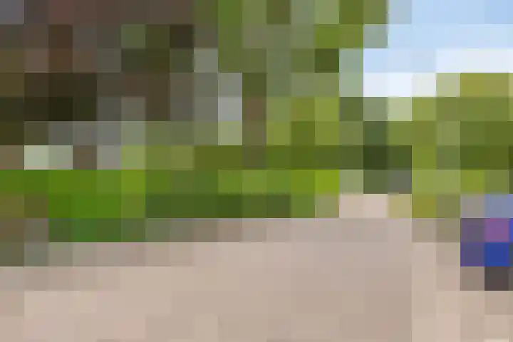 Asterlaan 1 Lutjebroek thumbnail 44
