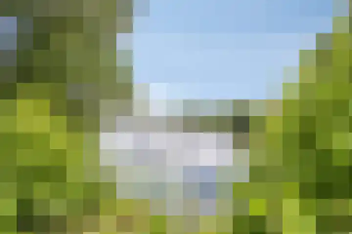 Asterlaan 1 Lutjebroek thumbnail 45