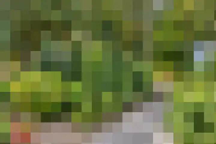 Asterlaan 1 Lutjebroek thumbnail 47