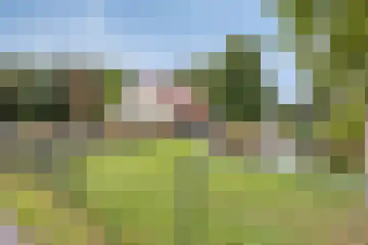 Asterlaan 1 Lutjebroek thumbnail 48