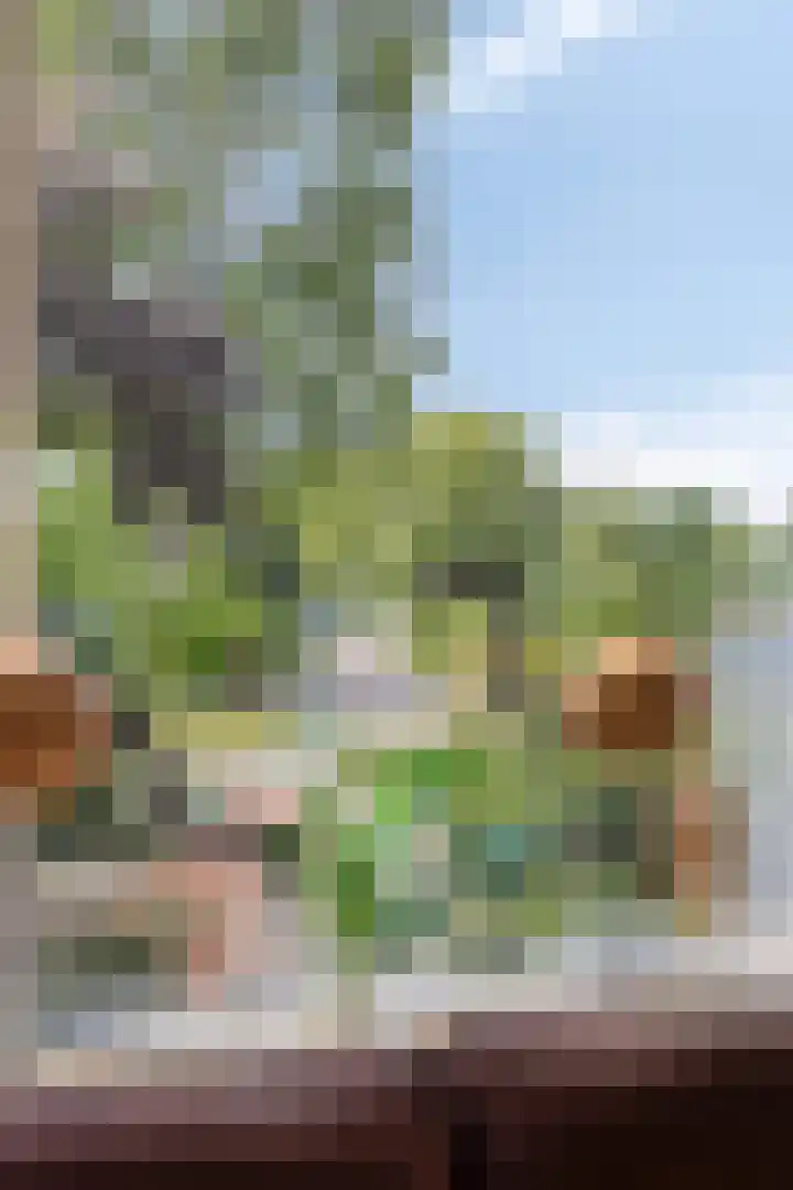Asterlaan 1 Lutjebroek thumbnail 55