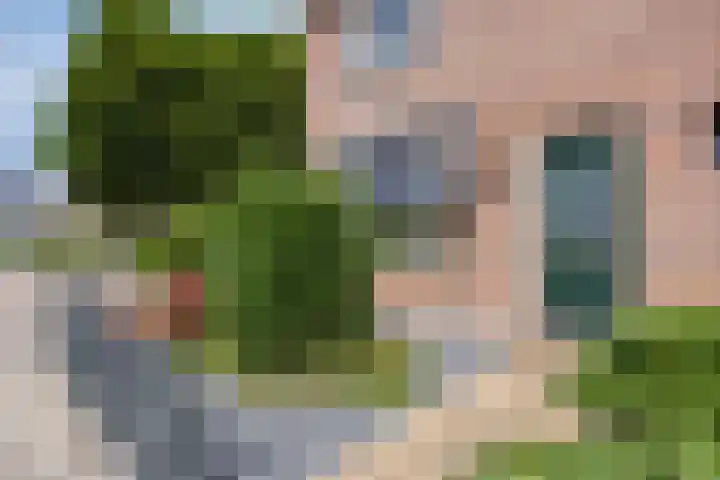 Asterlaan 1 Lutjebroek thumbnail 6