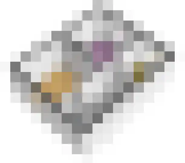 Asterlaan 1 Lutjebroek thumbnail 69
