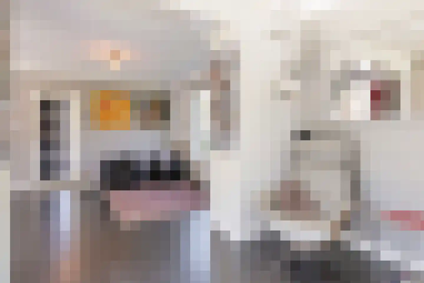 Asterlaan 1 Oostkapelle thumbnail 15