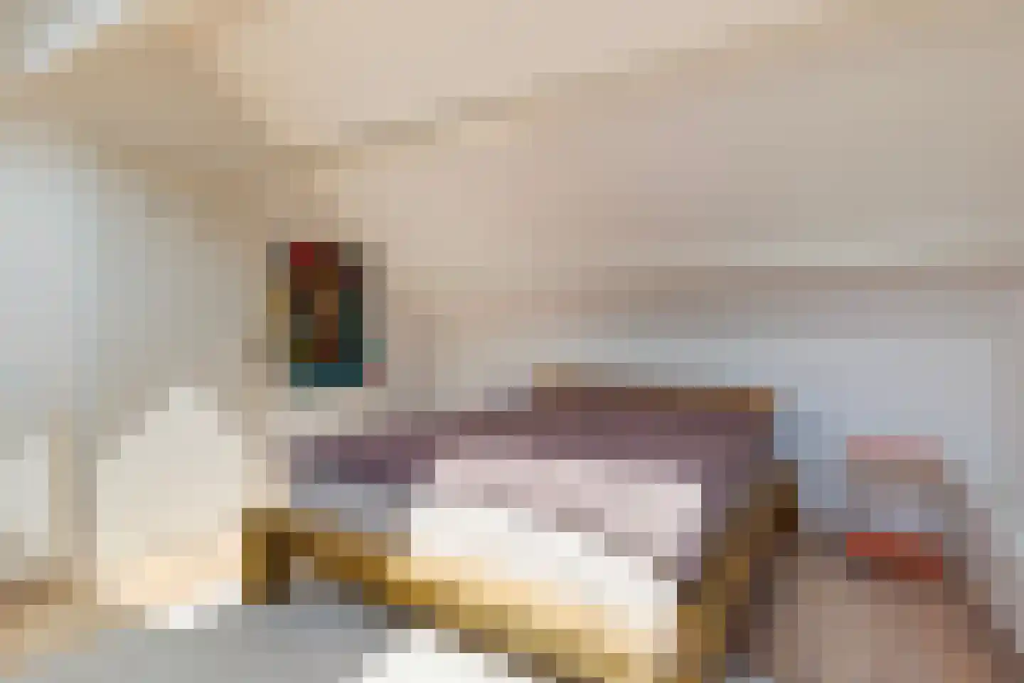 Asterlaan 1 Oostkapelle thumbnail 32