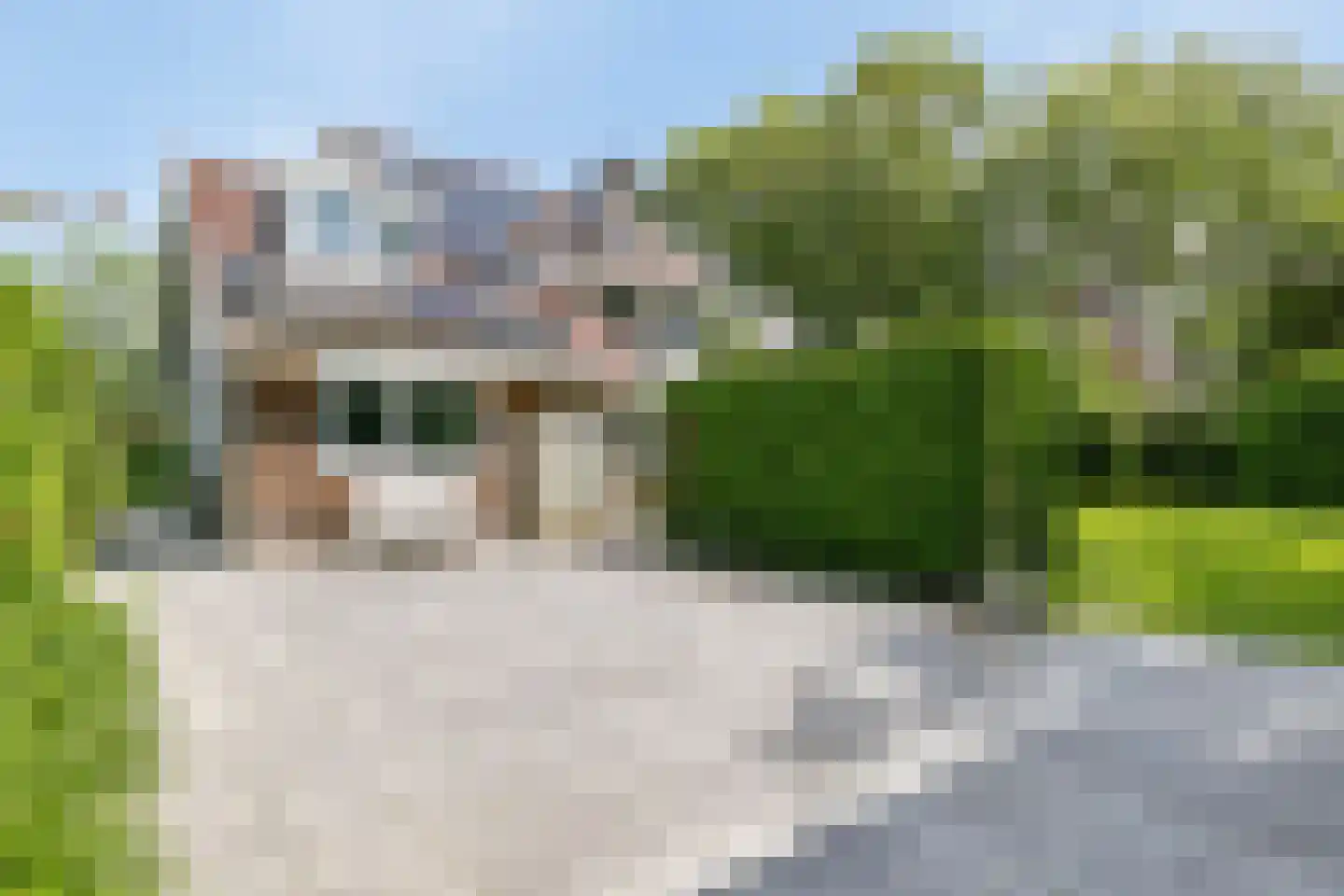 Asterlaan 1 Oostkapelle thumbnail 35