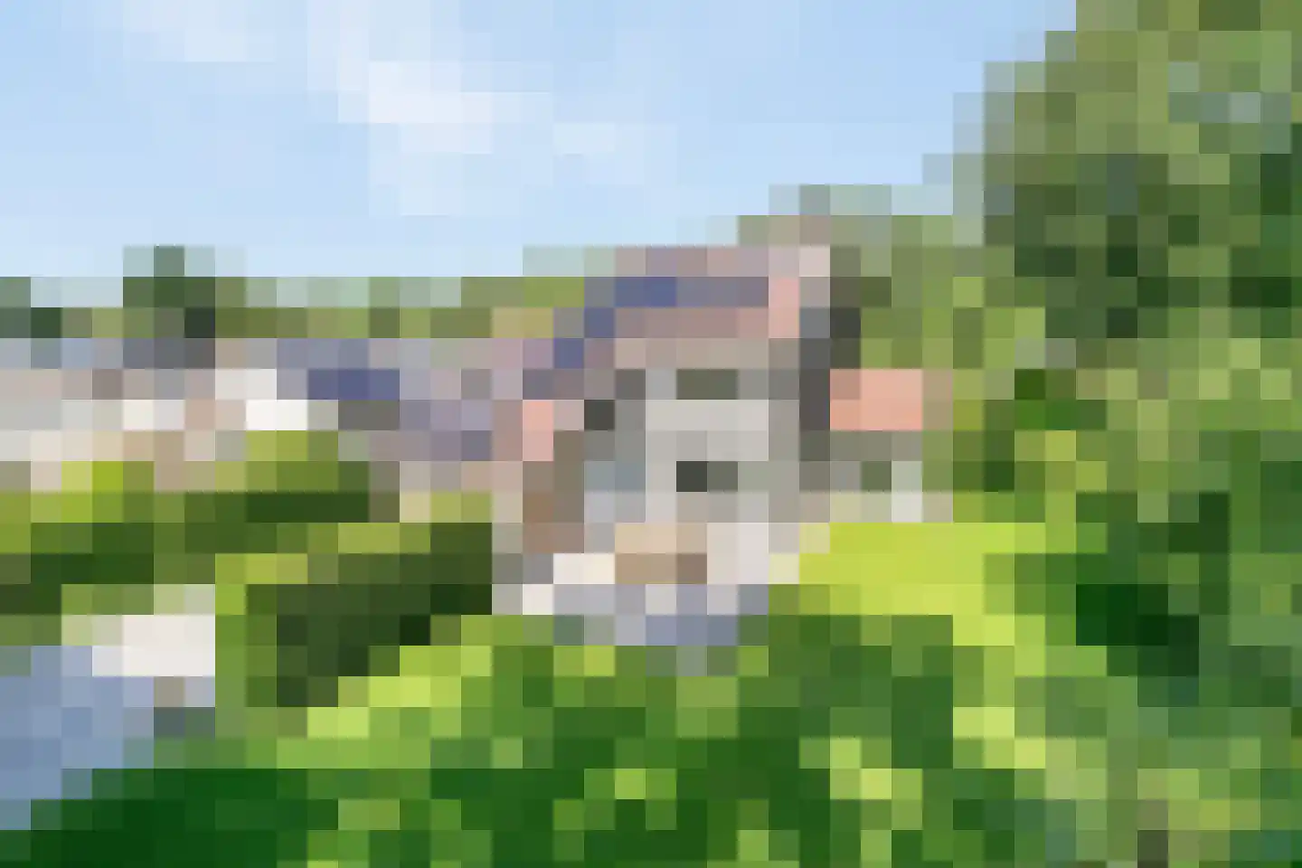Asterlaan 1 Oostkapelle thumbnail 38