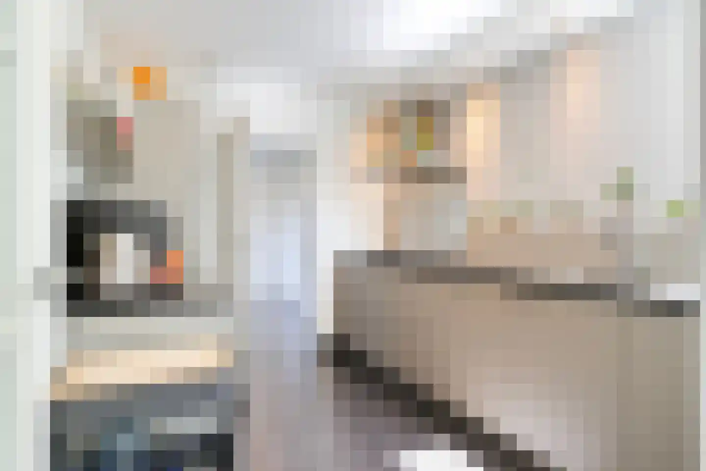 Asterlaan 1 Oostkapelle thumbnail 4