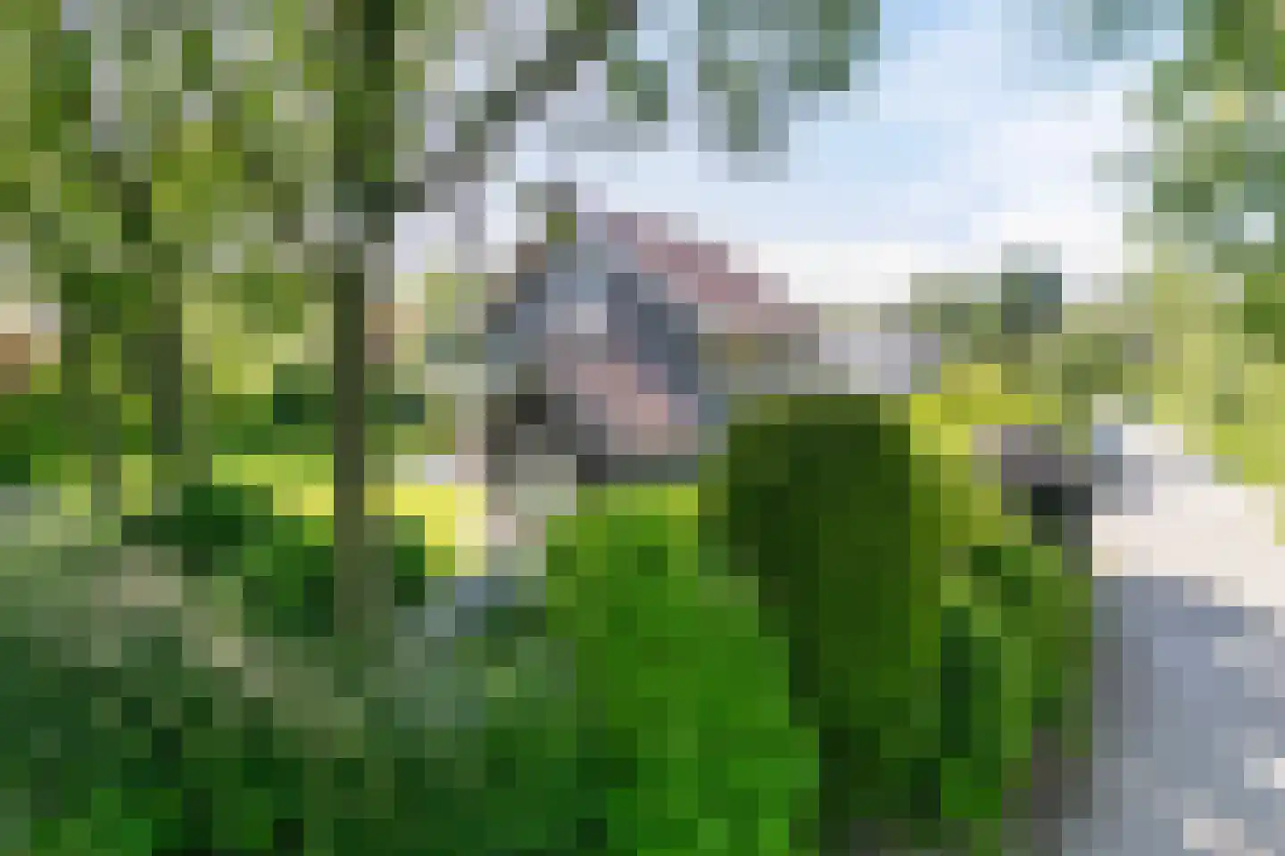 Asterlaan 1 Oostkapelle thumbnail 41