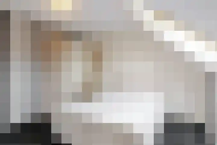 Asterlaan 16 Lutjebroek thumbnail 26