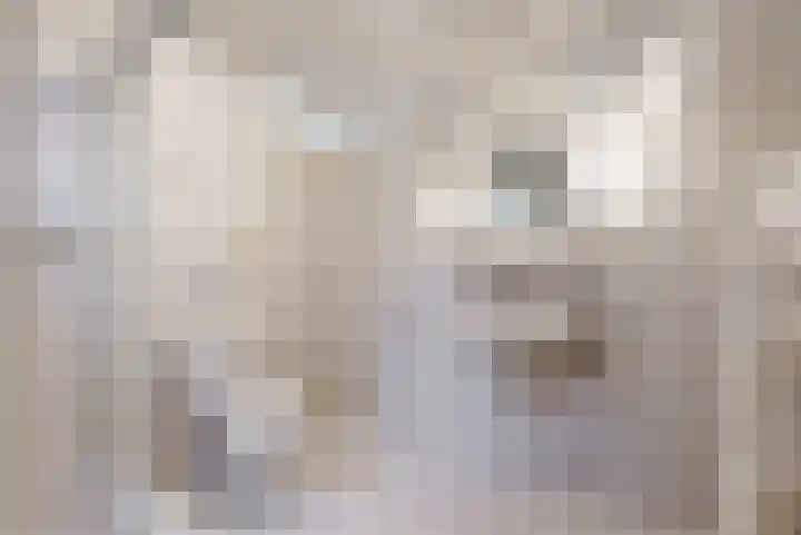 Asterlaan 16 Lutjebroek thumbnail 27
