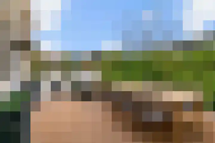 Asterlaan 16 Lutjebroek thumbnail 30