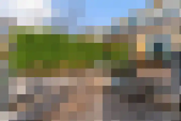 Asterlaan 16 Lutjebroek thumbnail 34