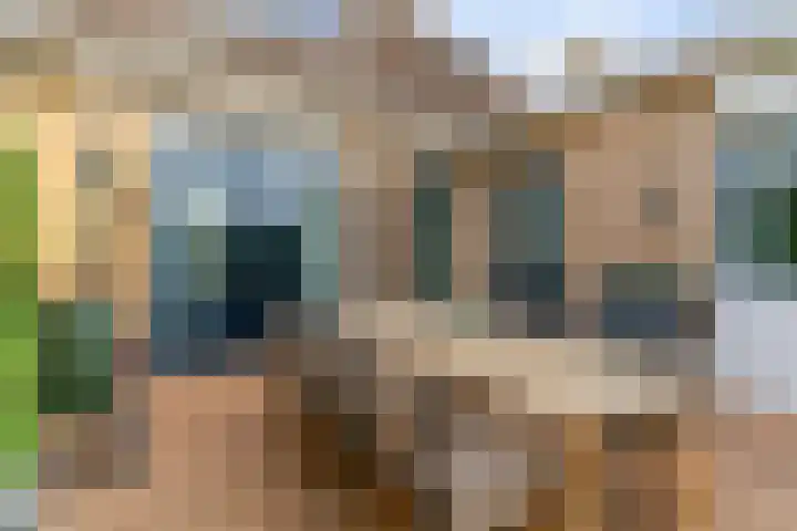 Asterlaan 16 Lutjebroek thumbnail 37