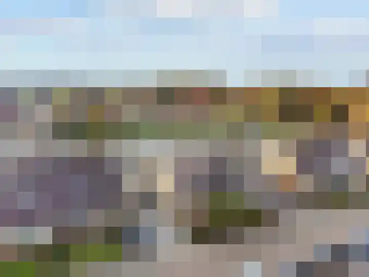 Asterlaan 16 Lutjebroek thumbnail 43