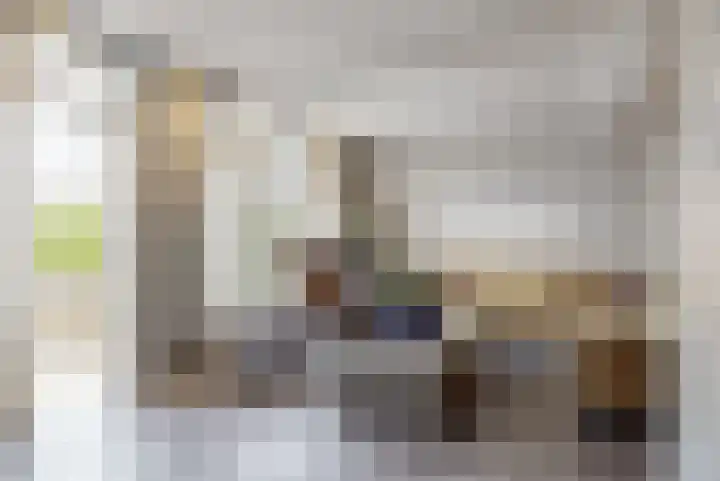 Asterlaan 16 Lutjebroek thumbnail 9