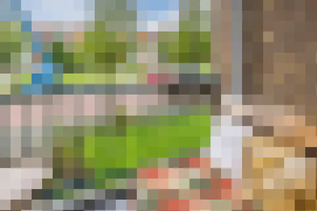 Asterlaan 20 Oegstgeest thumbnail 22