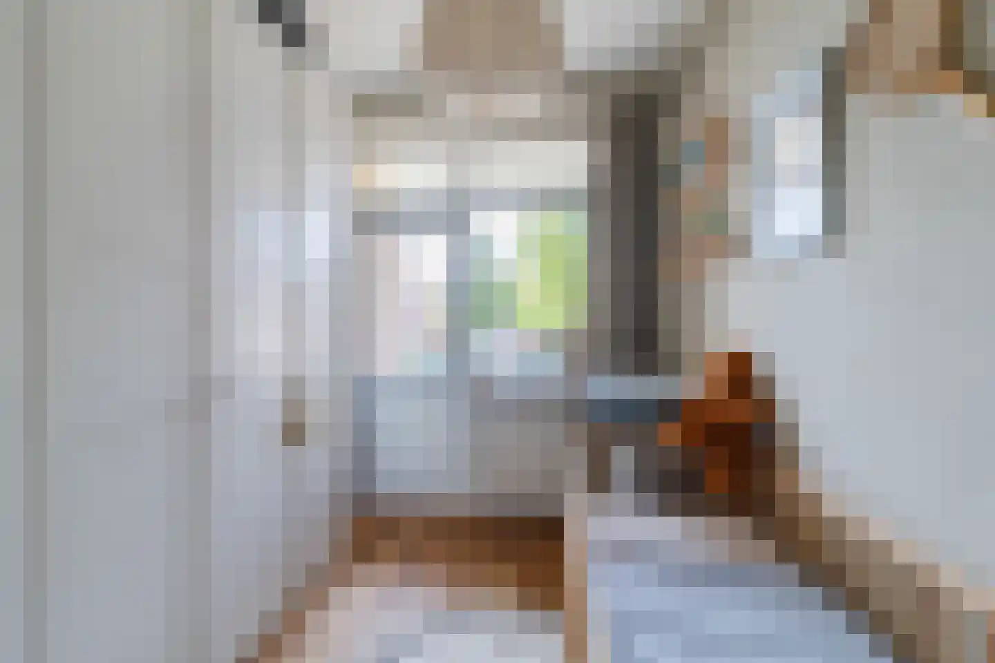 Asterlaan 32 Oegstgeest thumbnail 30