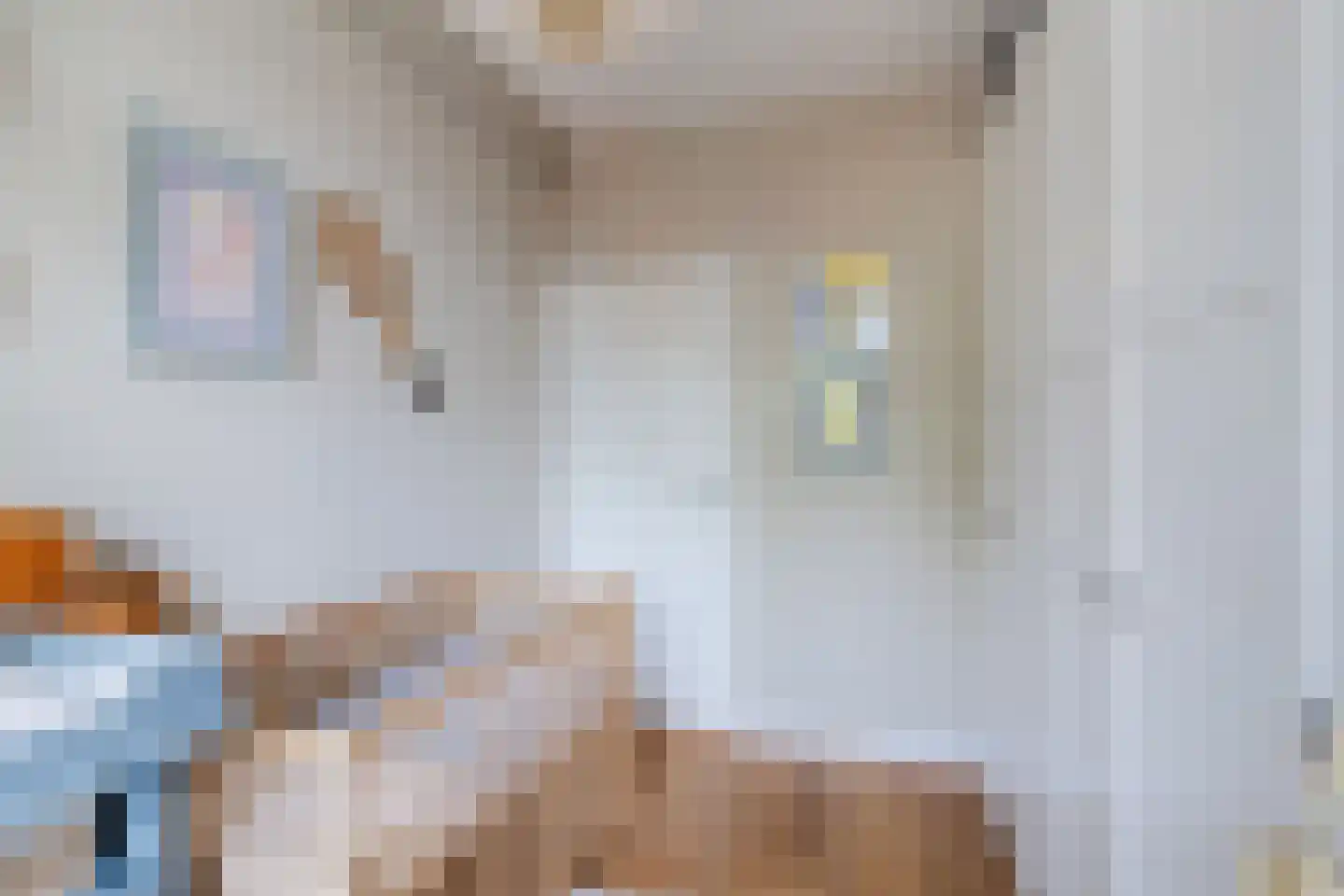 Asterlaan 32 Oegstgeest thumbnail 31