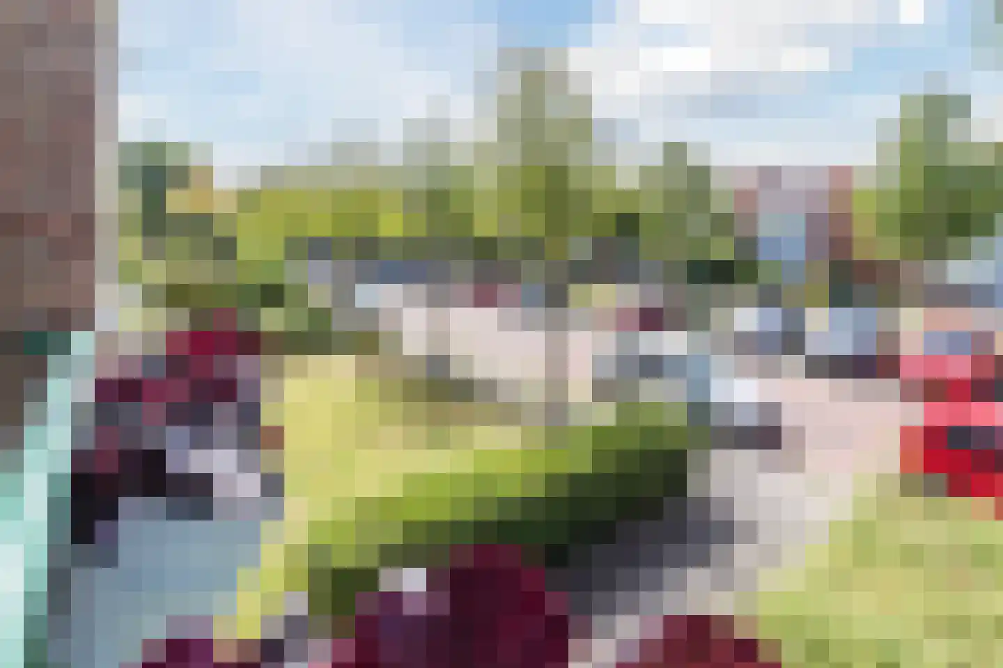 Asterlaan 32 Oegstgeest thumbnail 37