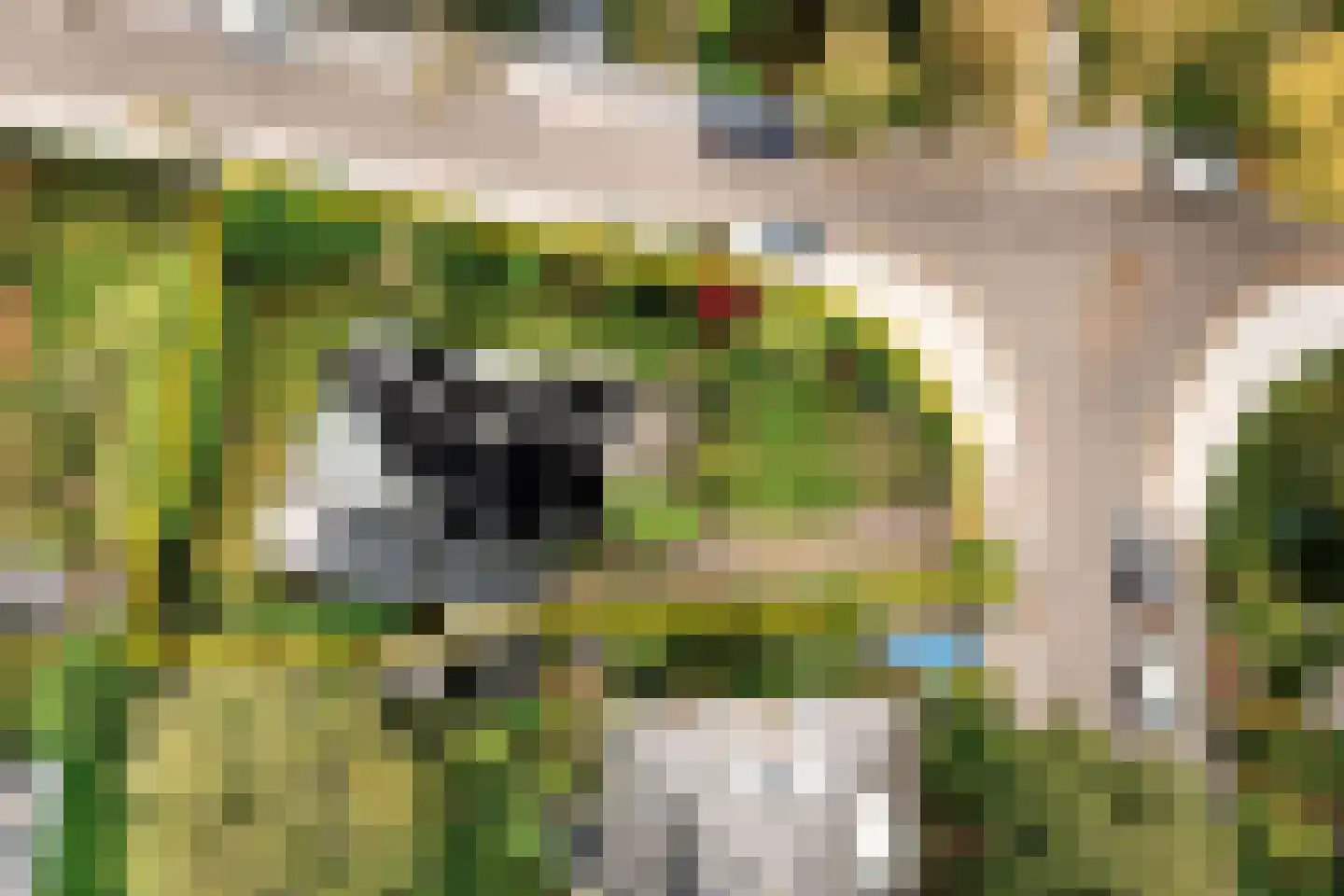 Asterlaan 39 Aerdenhout thumbnail 4