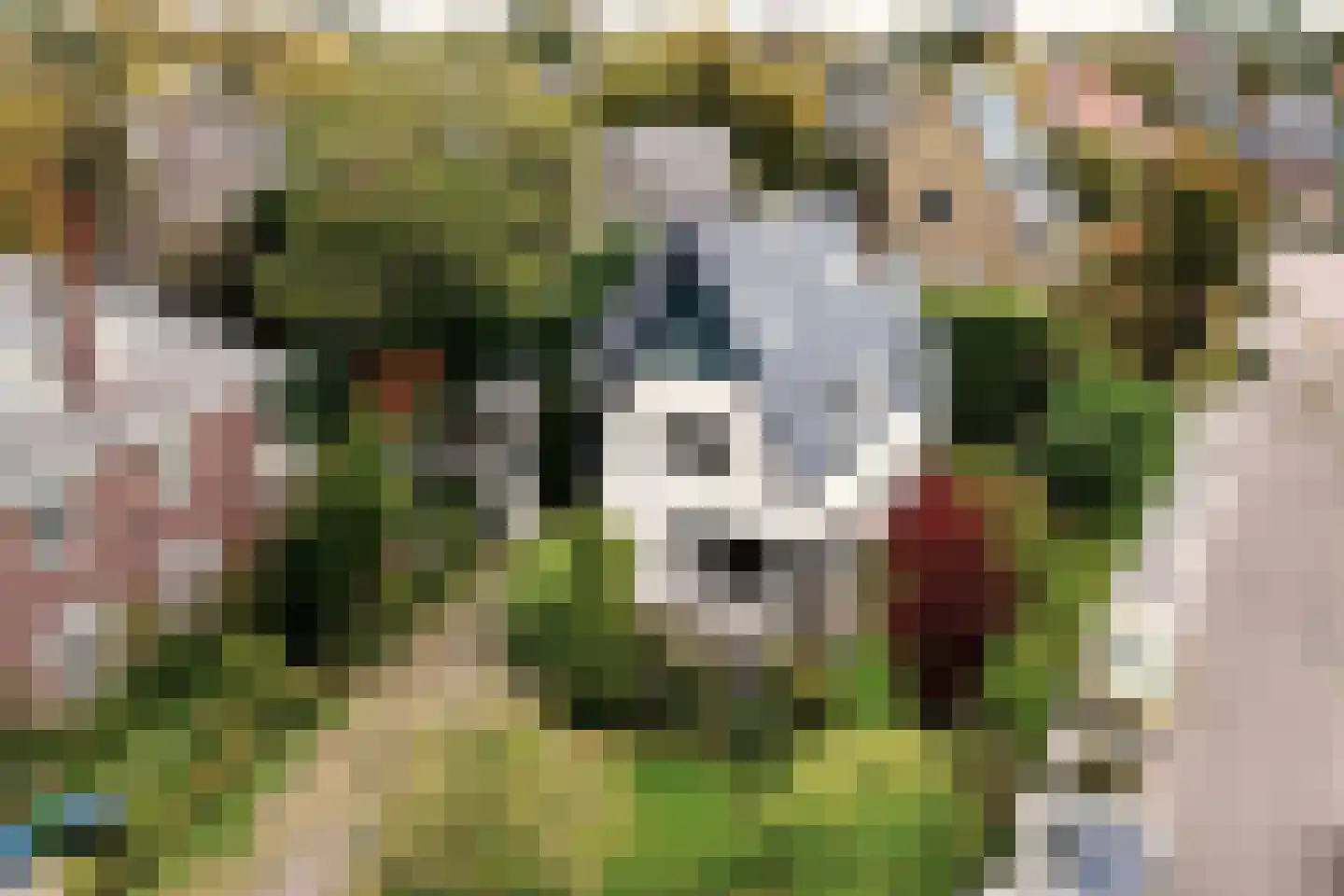 Asterlaan 39 Aerdenhout thumbnail 5