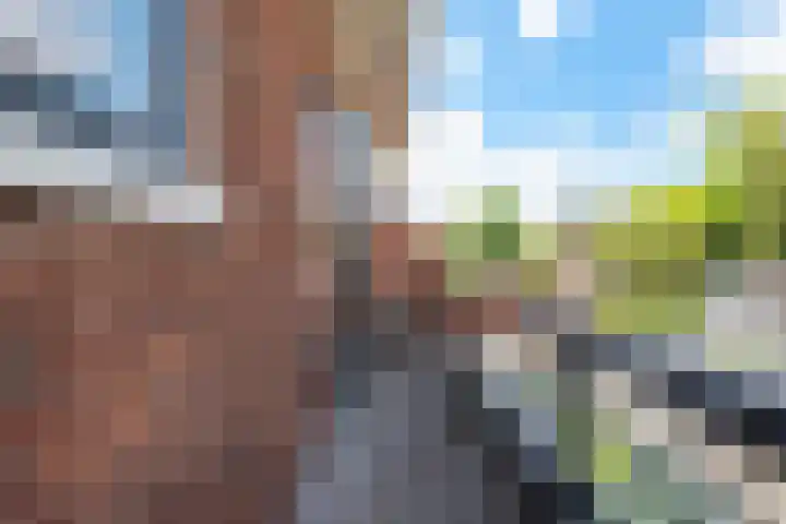 Asterlaan 6 Aerdenhout thumbnail 42