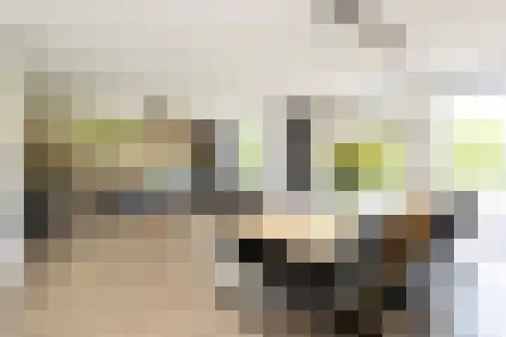 Astersingel 120 Berkel en Rodenrijs thumbnail 10