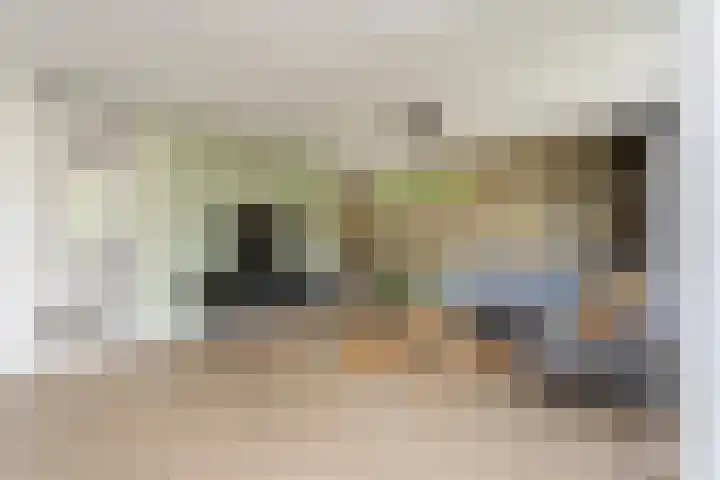 Astersingel 120 Berkel en Rodenrijs thumbnail 11