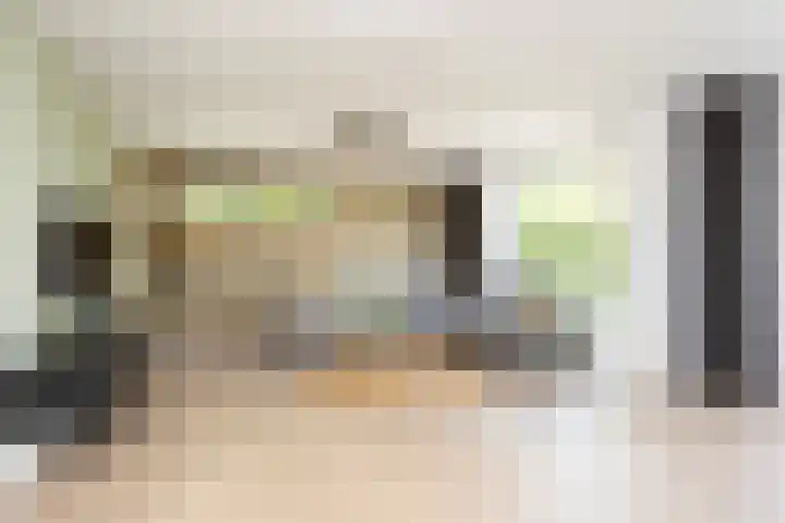 Astersingel 120 Berkel en Rodenrijs thumbnail 12