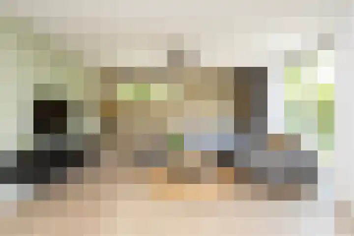 Astersingel 120 Berkel en Rodenrijs thumbnail 13