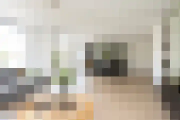 Astersingel 120 Berkel en Rodenrijs thumbnail 14