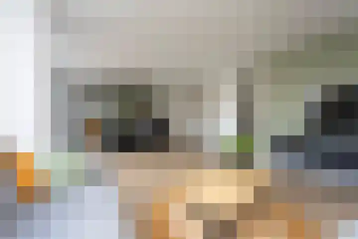 Astersingel 120 Berkel en Rodenrijs thumbnail 15