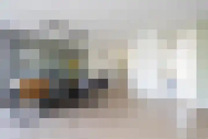 Astersingel 120 Berkel en Rodenrijs thumbnail 18