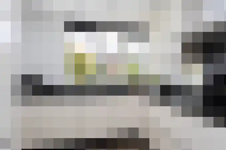 Astersingel 120 Berkel en Rodenrijs thumbnail 25