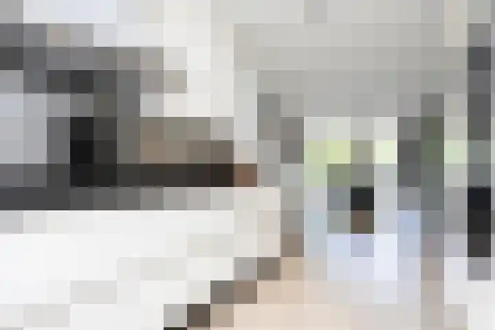 Astersingel 120 Berkel en Rodenrijs thumbnail 26