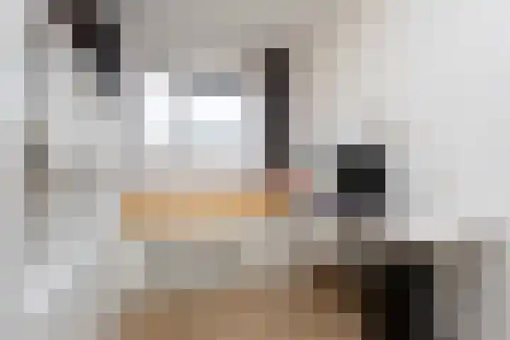 Astersingel 120 Berkel en Rodenrijs thumbnail 30