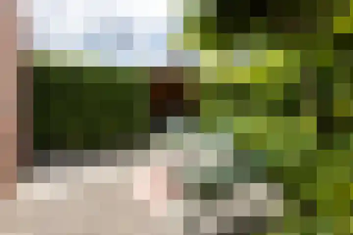 Astersingel 120 Berkel en Rodenrijs thumbnail 48