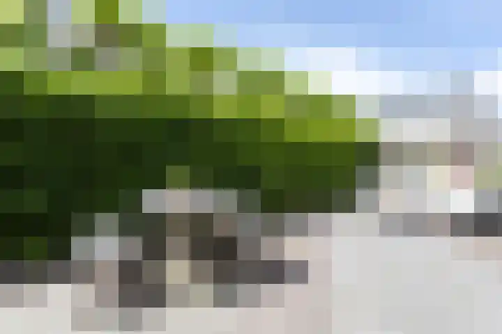 Astersingel 120 Berkel en Rodenrijs thumbnail 51