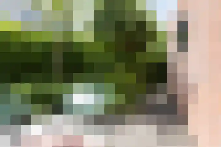 Astersingel 120 Berkel en Rodenrijs thumbnail 52