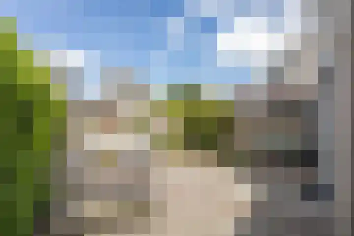 Astersingel 120 Berkel en Rodenrijs thumbnail 53