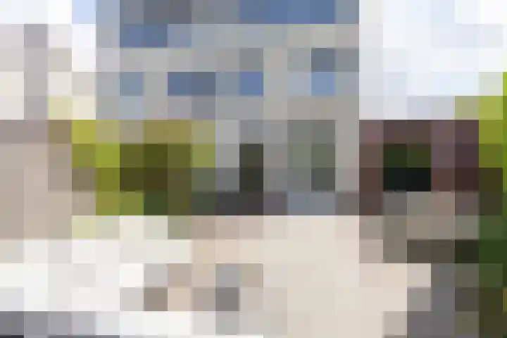 Astersingel 120 Berkel en Rodenrijs thumbnail 55