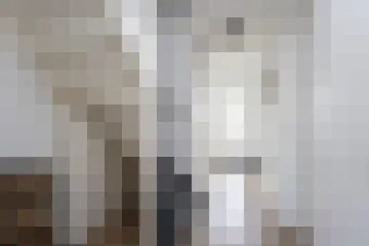 Astersingel 120 Berkel en Rodenrijs thumbnail 7