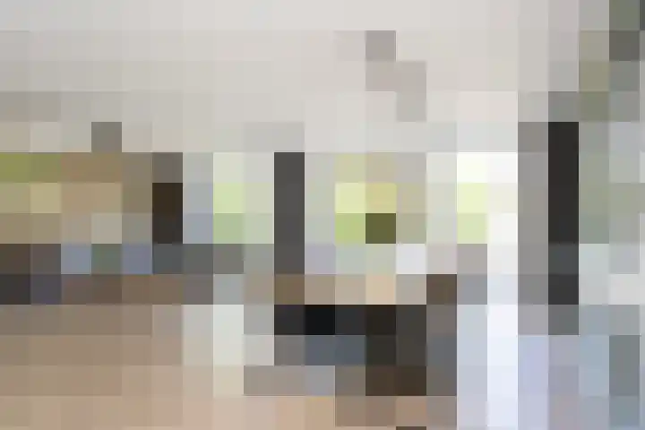Astersingel 120 Berkel en Rodenrijs thumbnail 9