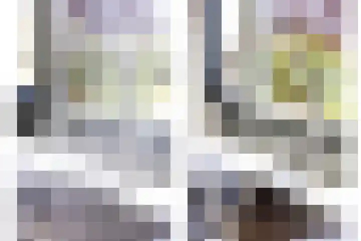 Astersingel 22 Berkel en Rodenrijs thumbnail 12