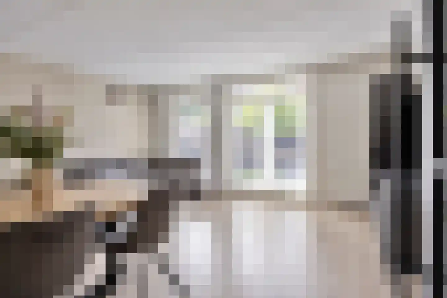 Astersingel 30 Berkel en Rodenrijs thumbnail 11
