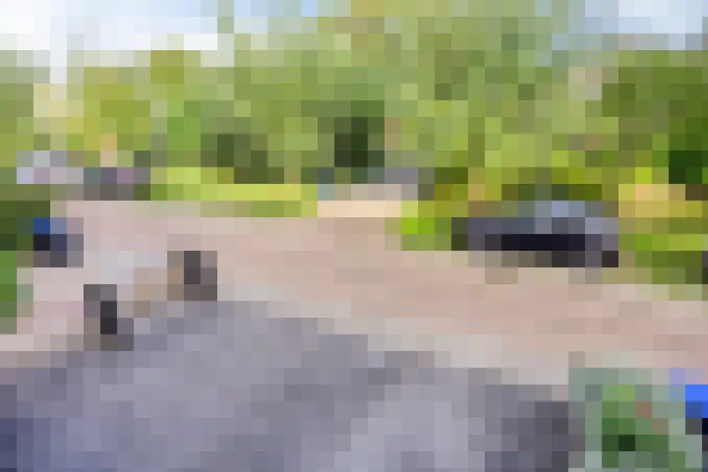 Astersingel 30 Berkel en Rodenrijs thumbnail 56