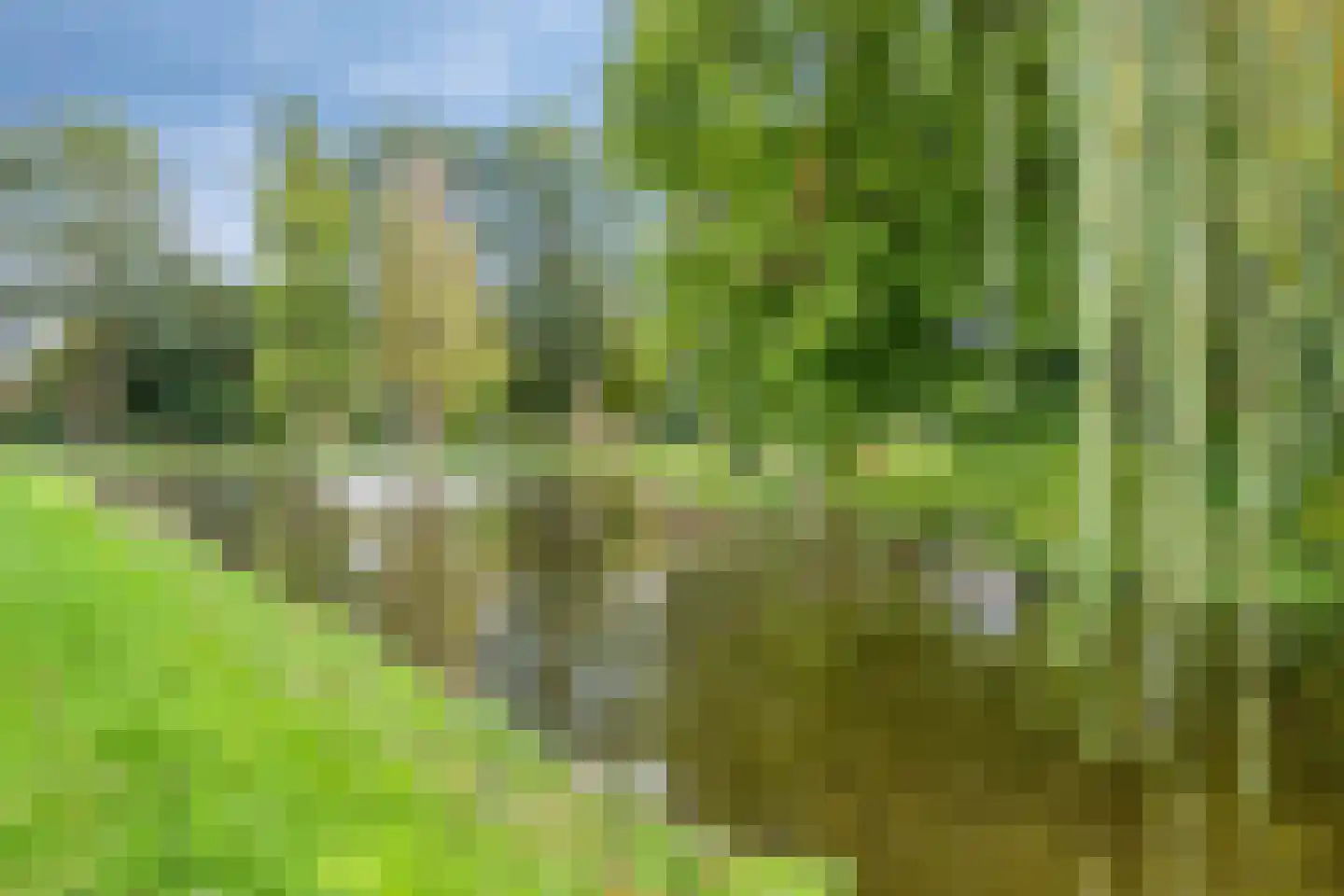 Astersingel 30 Berkel en Rodenrijs thumbnail 60