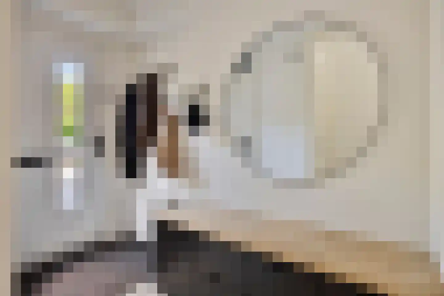 Astersingel 30 Berkel en Rodenrijs thumbnail 7
